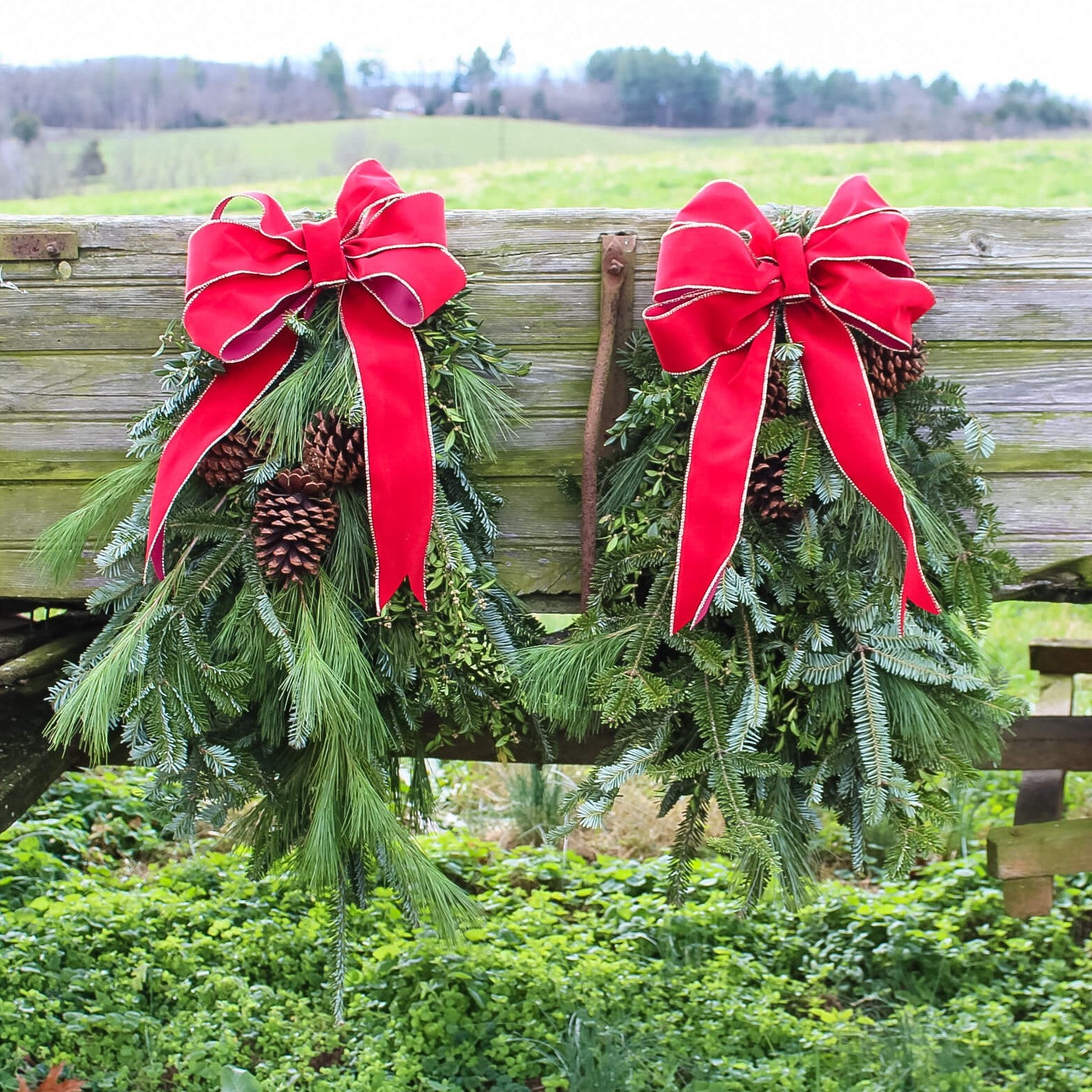 Holiday Gift Guide