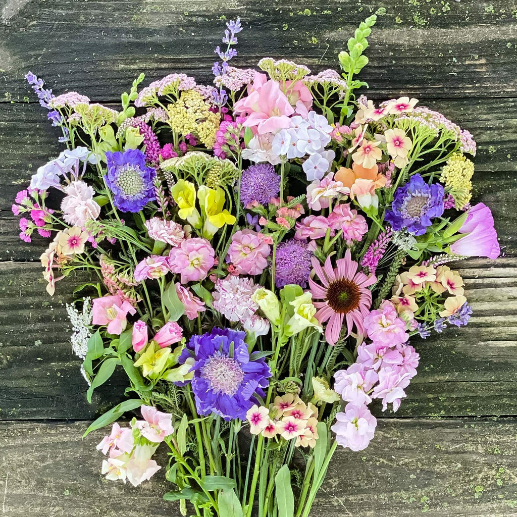 US Grown Bulk Flowers  VIBRANT – Harmony Harvest Farm