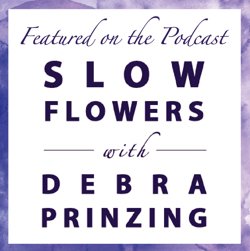 Episode 645: The Mum Project Update with Jessica Hall of Harmony Harvest Farm | Slow Flowers Podcast
