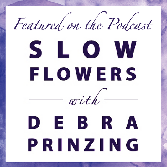 Episode 645: The Mum Project Update with Jessica Hall of Harmony Harvest Farm | Slow Flowers Podcast