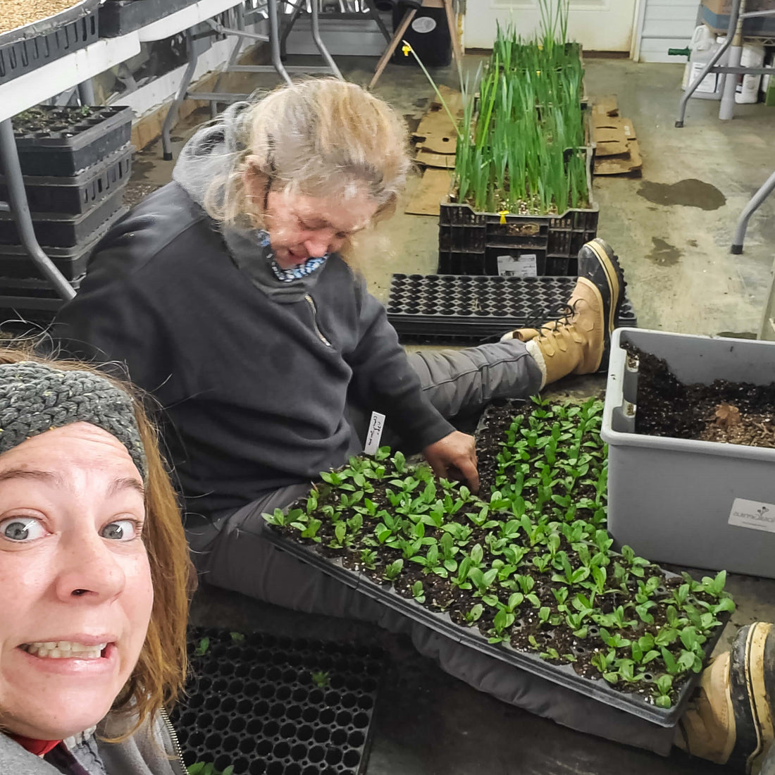 Crop Report: Week 7 | Preparing For Spring