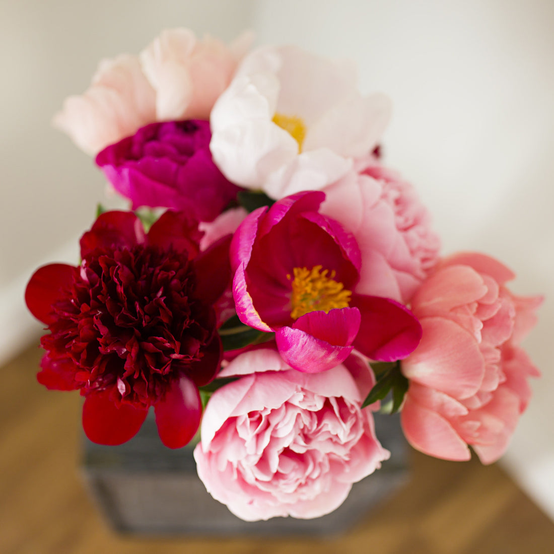 The Peonies Are Coming!