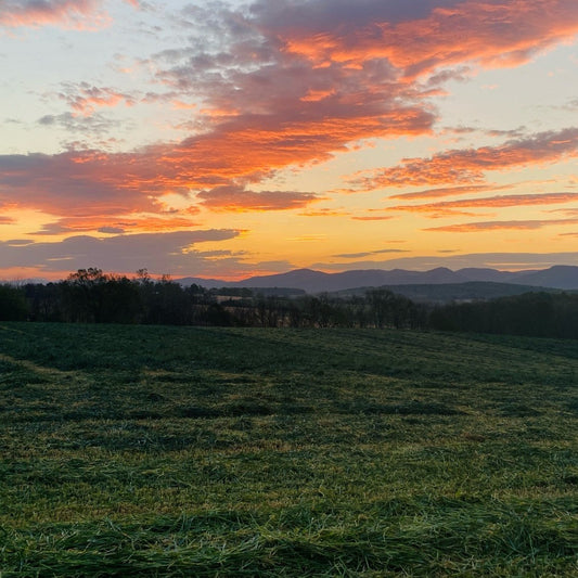 Frost's Toll & Our Triumphs