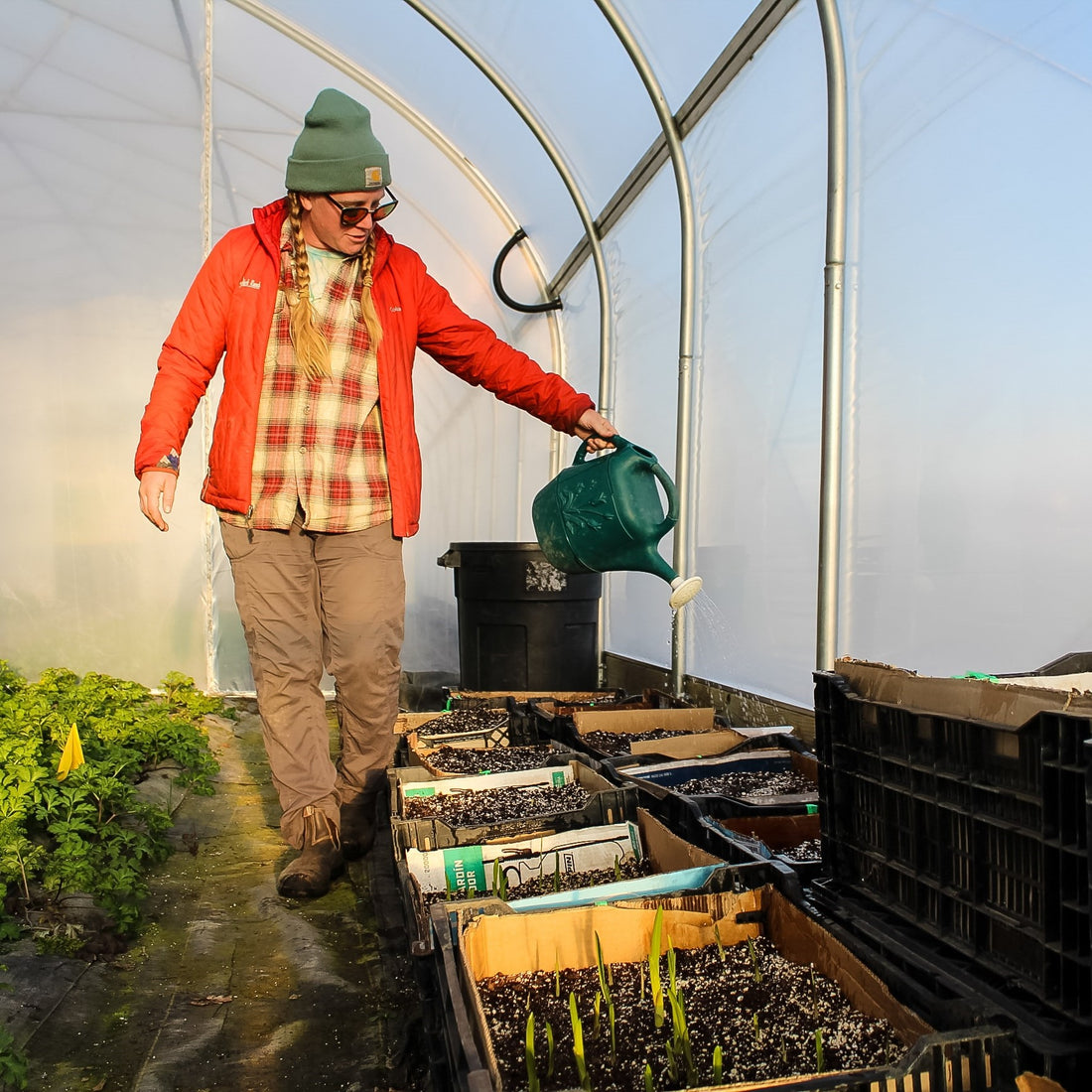 The Crop Report | Problem Solving