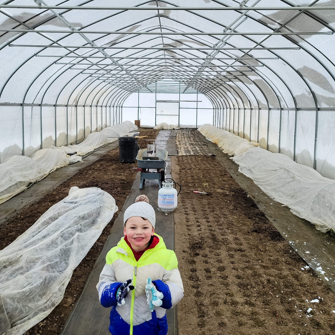 The Crop Report: Week 5 | Greenhouse Snow Removal