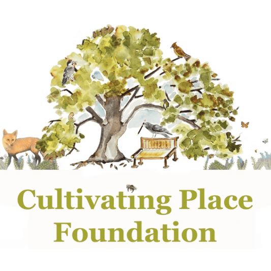 Cultivating Place | Mum's the flower of fall with Jessica Hall of Harmony Harvest Farm