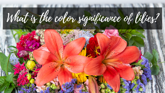 What is the color significance of lilies?