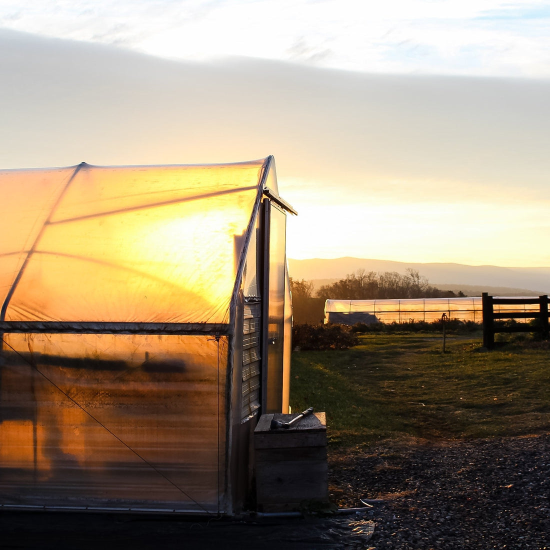 Winter is for Spring Planting