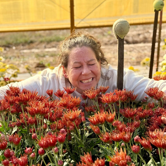 Brackets & Spring Fever