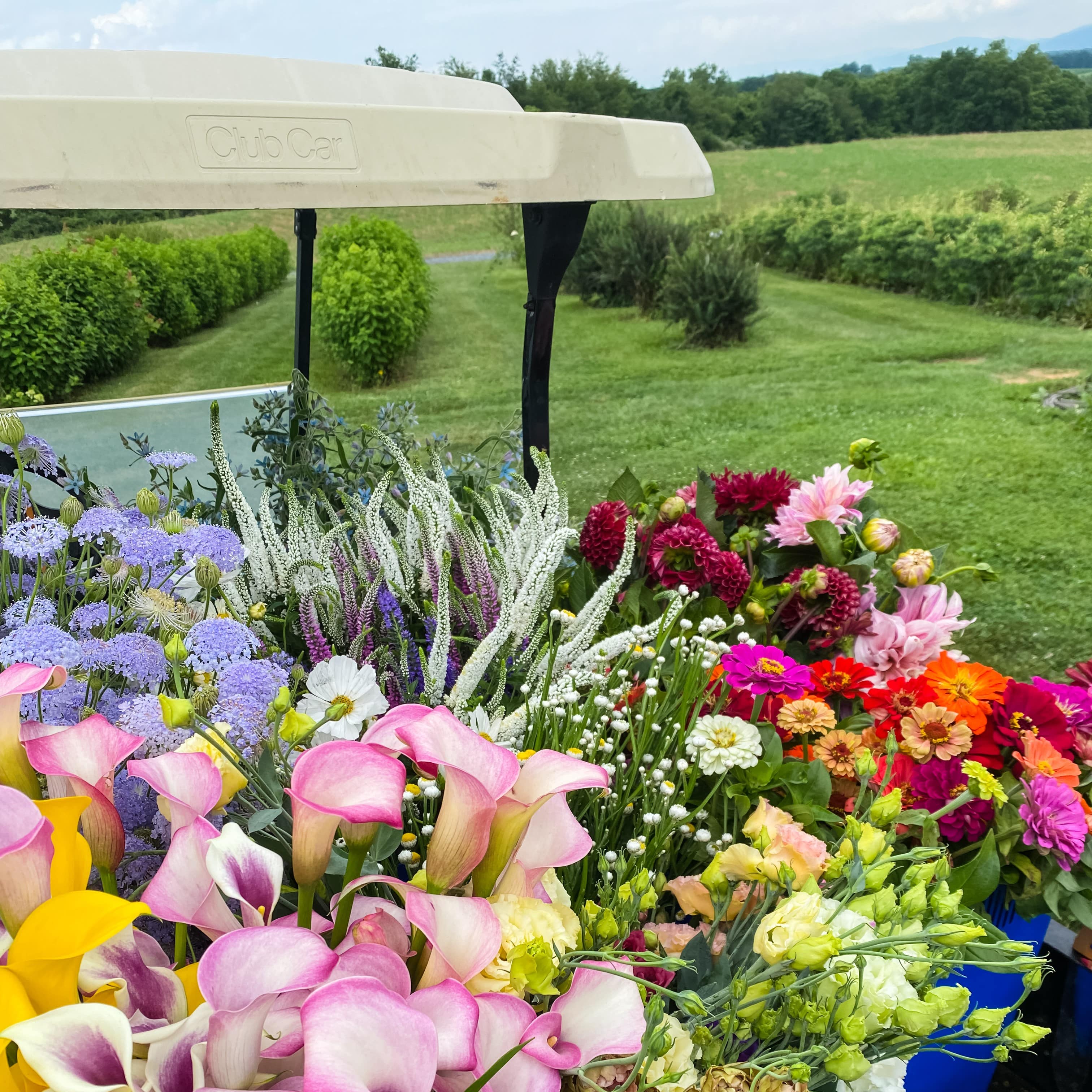 What is a Flower Farm?