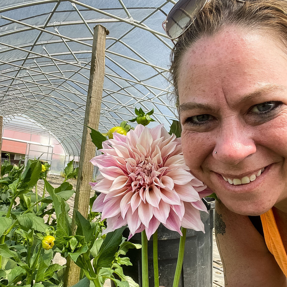 The Crop Report Week 25 | Dahlias for Days