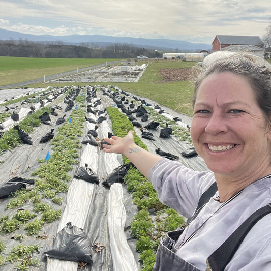 The Crop Report | Planting Spring Fields