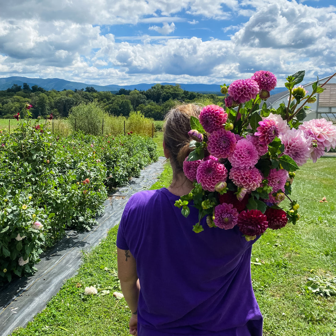 The Crop Report | Done With the Divas