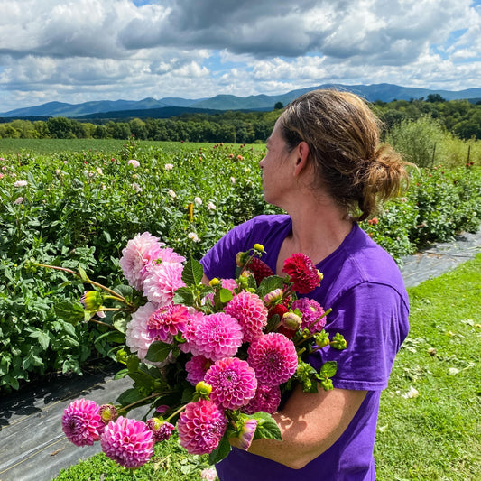 The New Flower Field Day!