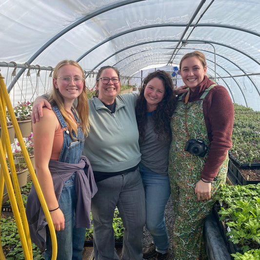 Our team is growing!