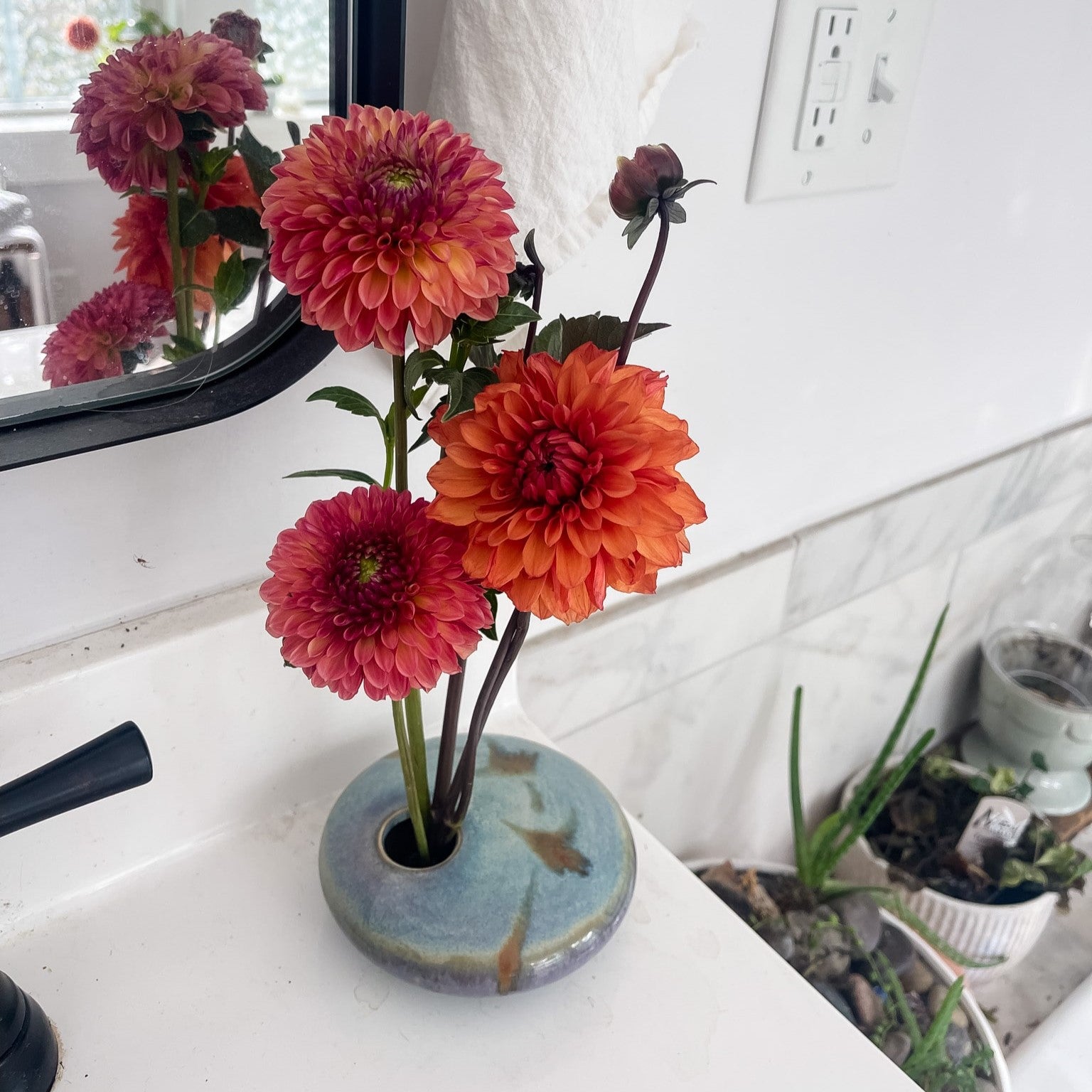 The Crop Report | Dahlias! Fall Fancies.