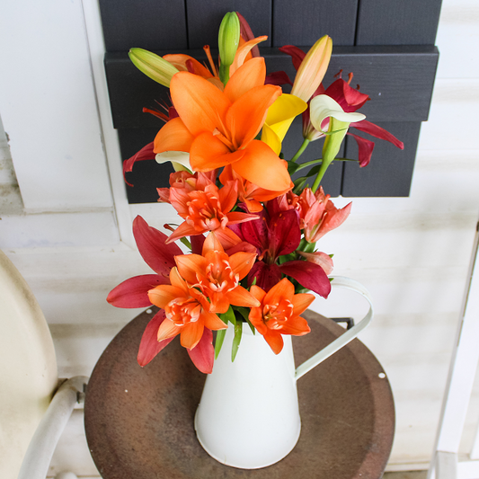 Growing Lilies