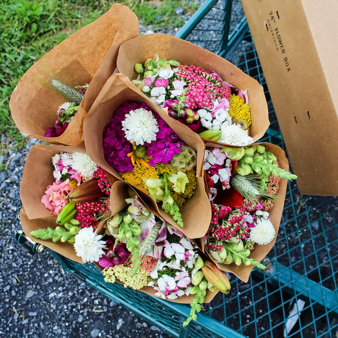 Lost in the Weeds (But Finding Flowers)