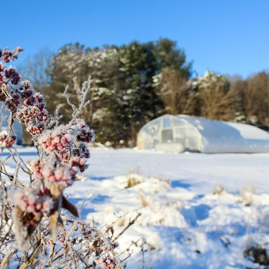 Your Garden Questions, Answered.
