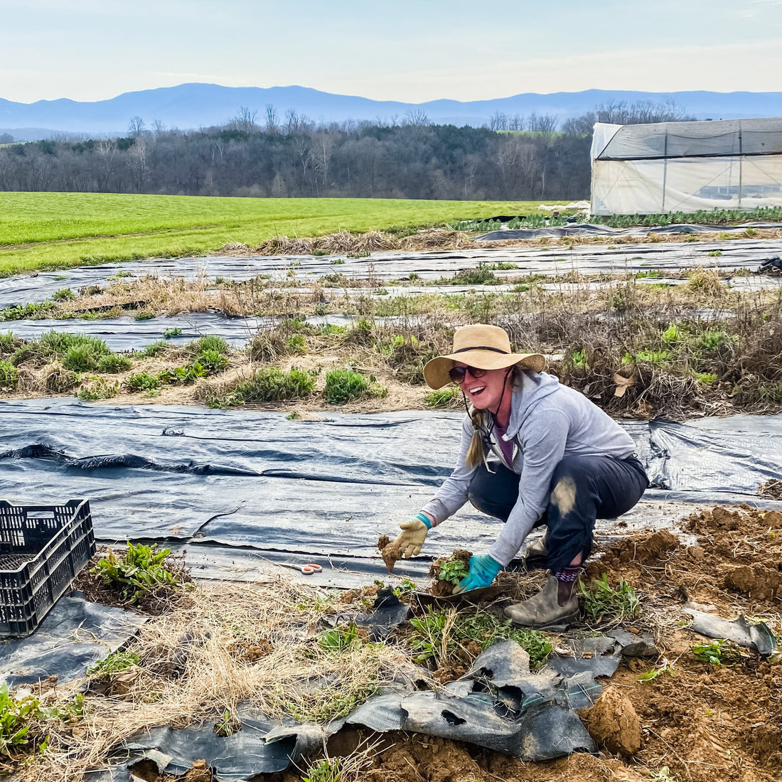 The Crop Report | Paved Paradise to Put in a Parking Lot