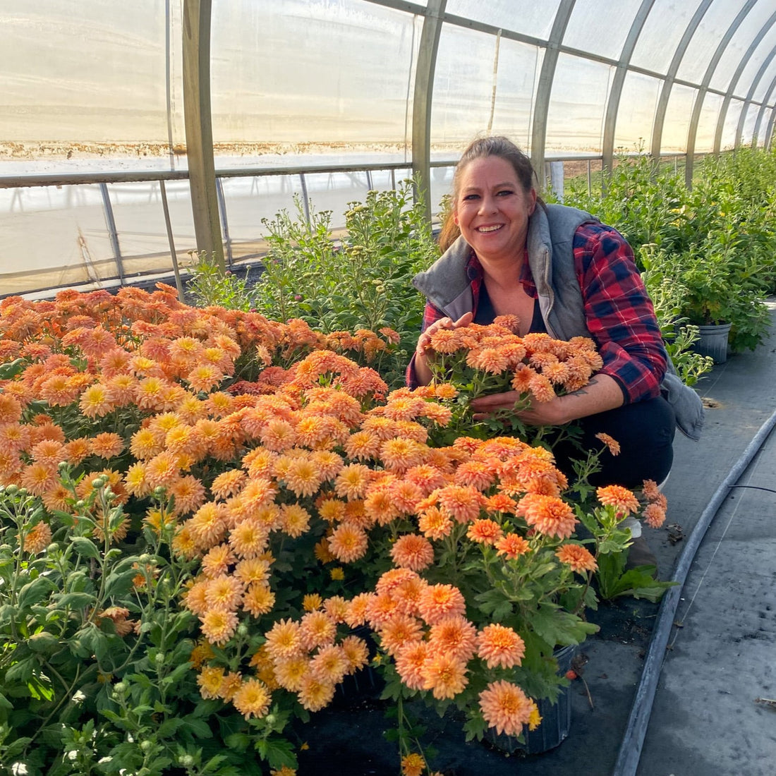 Football, Mums, and Backyard Beauty