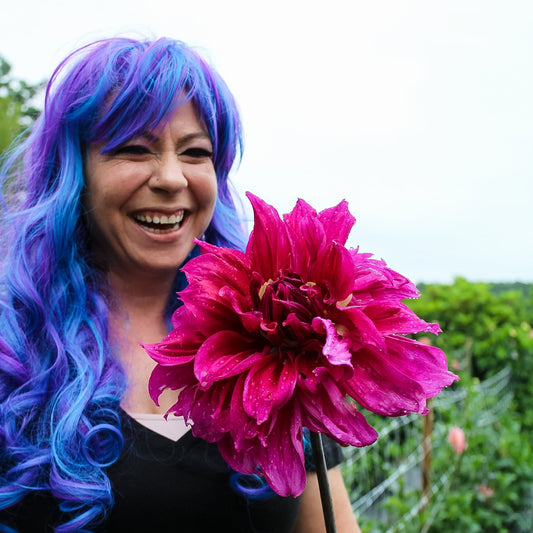 The Crop Report | Dahlia Dancing in the Rain