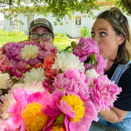 The Crop Report | Ant Peony