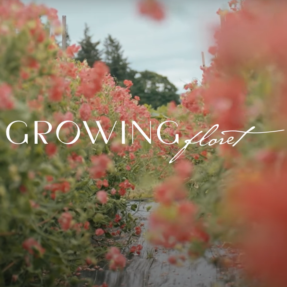 Growing Floret Feature
