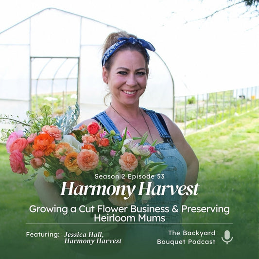 The Flowering Farmhouse | Episode 53: Growing a Cut Flower Business & Preserving Heirloom Mums with Jessica Hall of Harmony Harvest