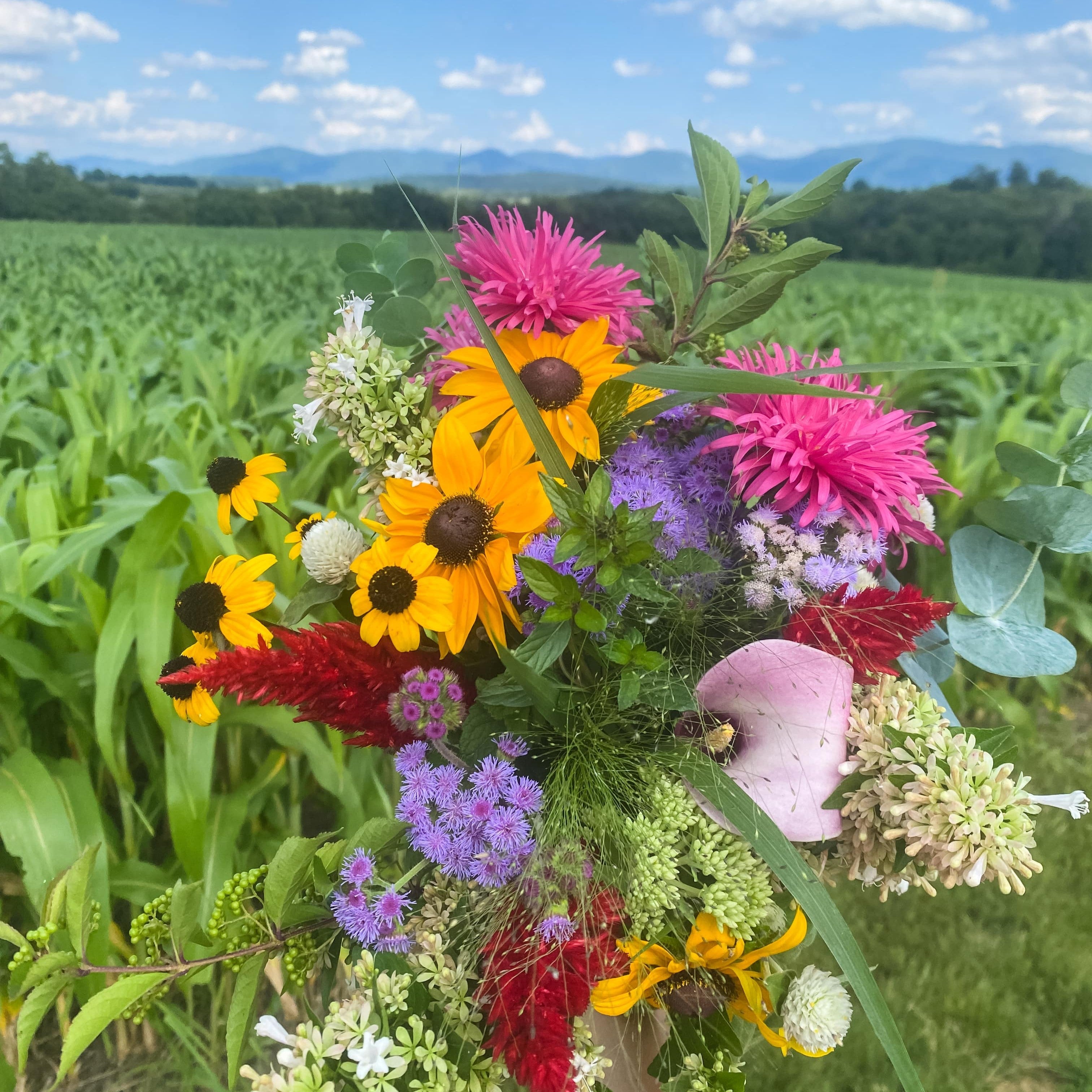 Deep Watering Your Plants This Summer is Non-Negotiable