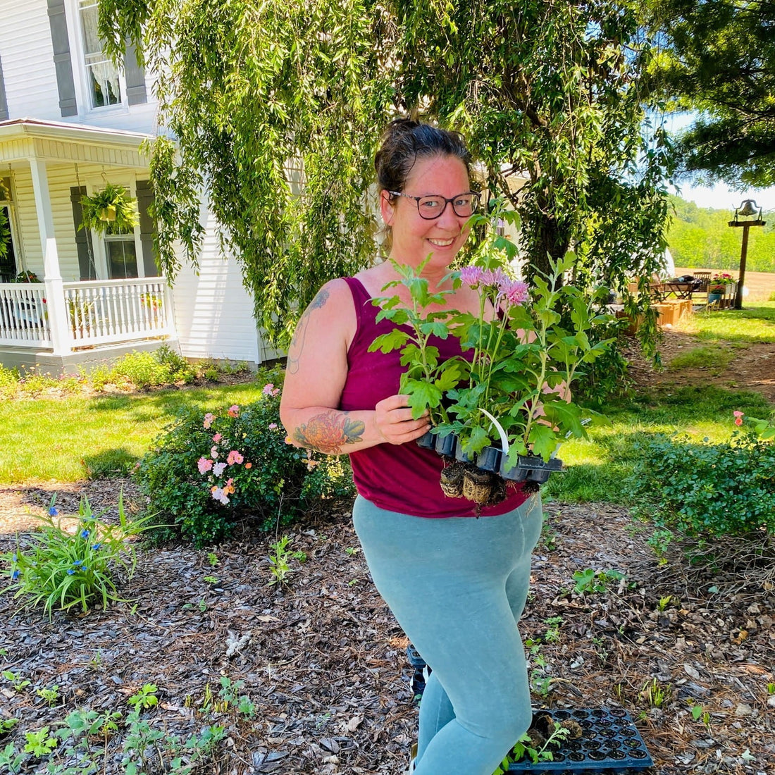 Planting Madness