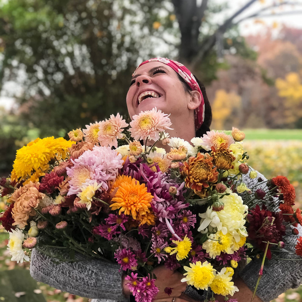 The Crop Report A Better Life Through Chrysanthemums Harmony