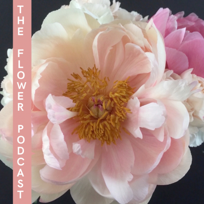 Mum's the Word | The Flower Podcast