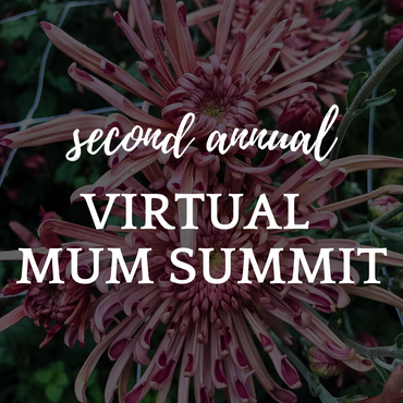 2023 Virtual Mum Summit
