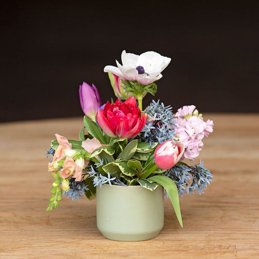 The Mini Farm Fresh Arrangement (Pickup Only)