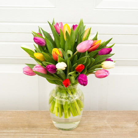 The Deluxe Mixed Tulip Arrangement - Local Only