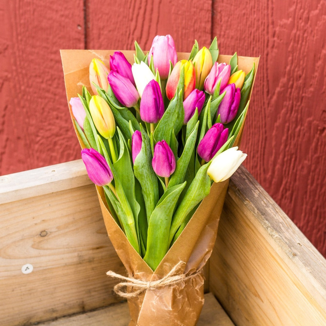 The Classic Tulip Bouquet Box – Harmony Harvest Farm