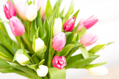 OFFICE DELIVERY: Pink + White Classic Tulip Arrangement