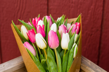 OFFICE DELIVERY: Pink + White Tulip Bouquet