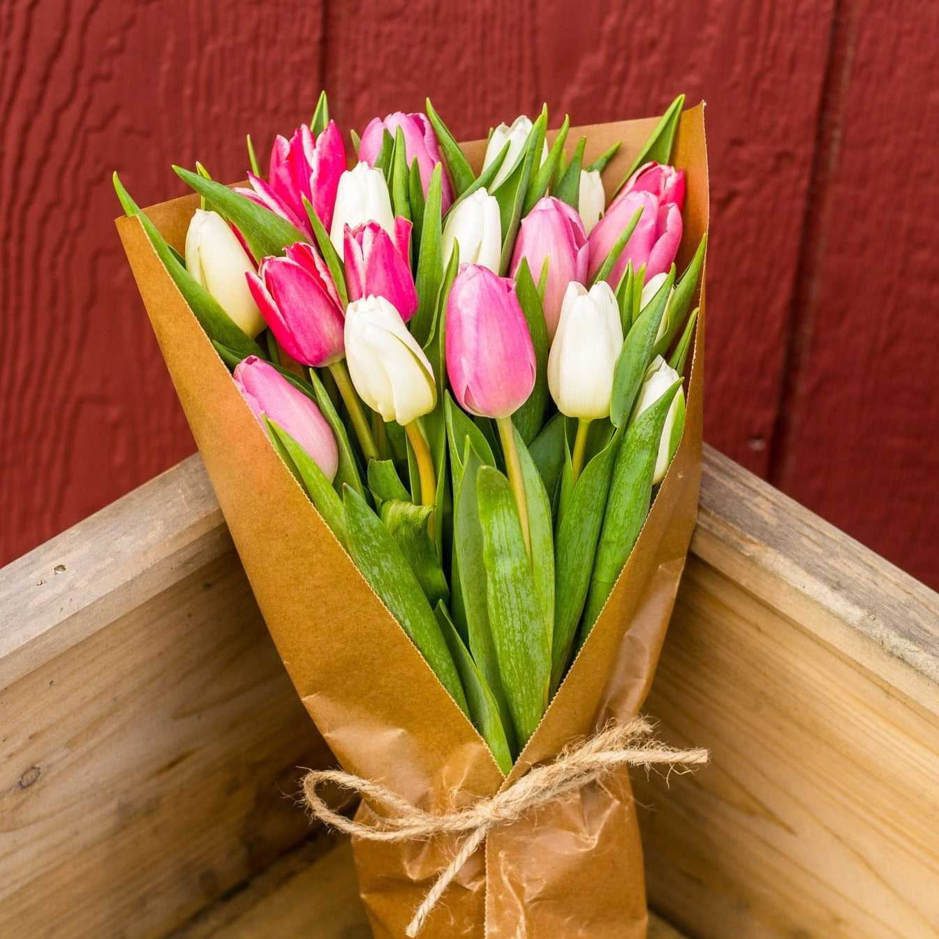 OFFICE DELIVERY: Pink + White Tulip Bouquet