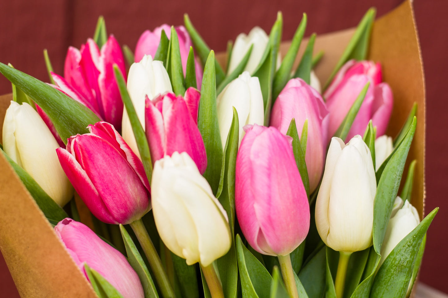 OFFICE DELIVERY: Pink + White Tulip Bouquet