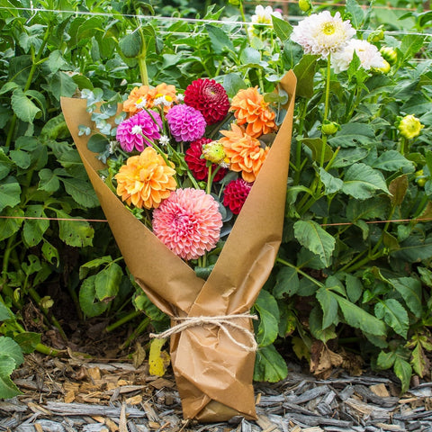 The Dahlia Bouquet Box