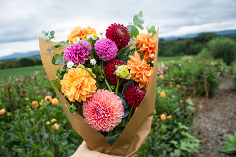 The Dahlia Bouquet Box