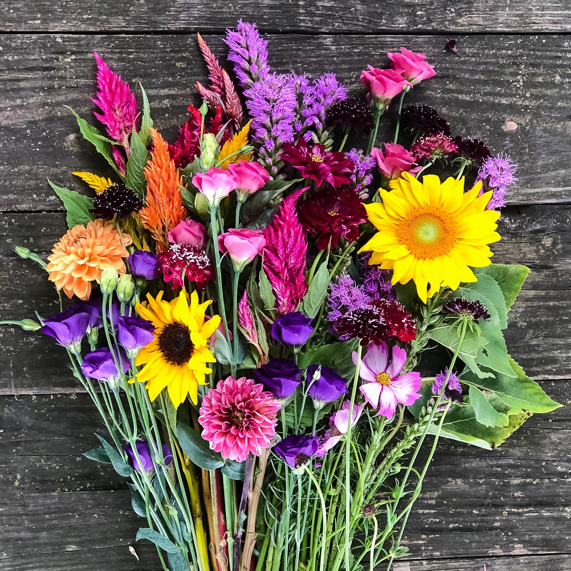 Bulk DIY Wedding Flowers – Harmony Harvest Farm