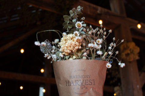 The Winter White Dried Bouquet
