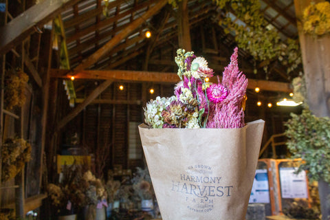 The Vibrant Dried Bouquet
