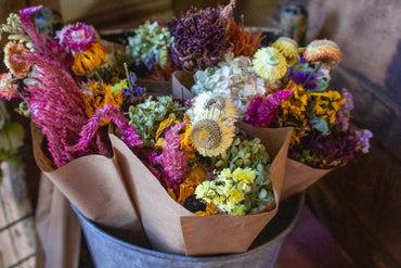 The Vibrant Dried Bouquet
