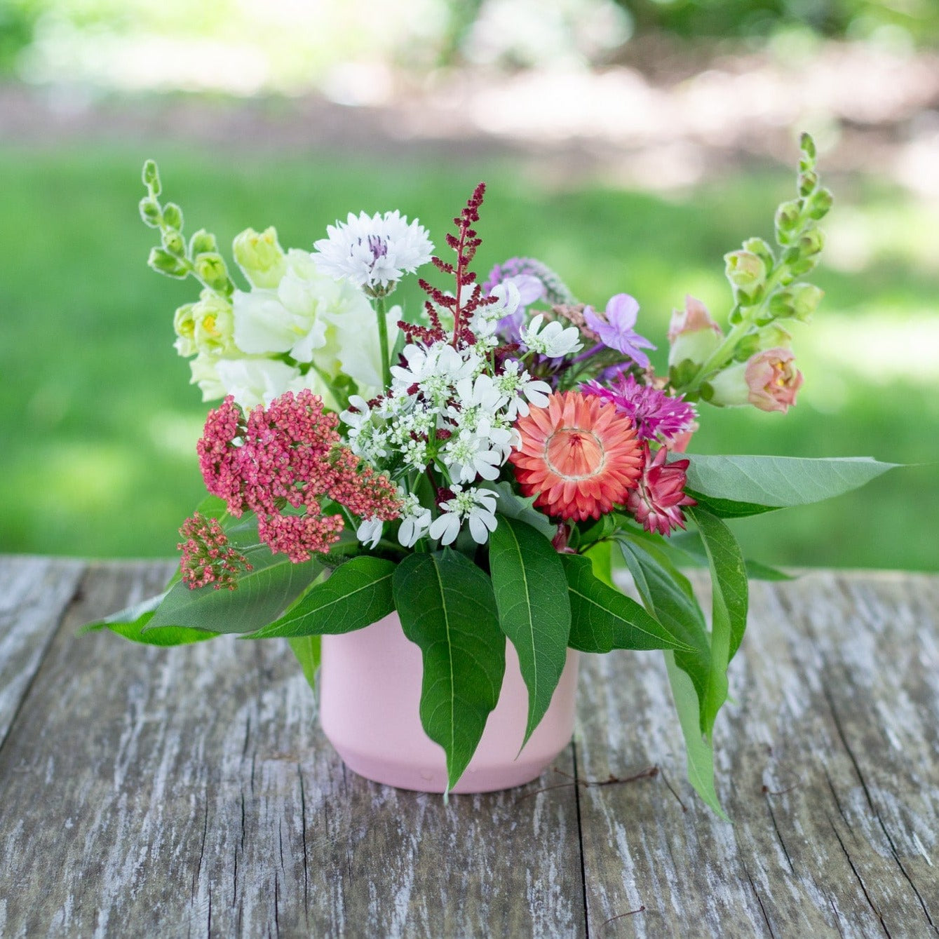 The Mini Farm Fresh Arrangement (Pickup Only)