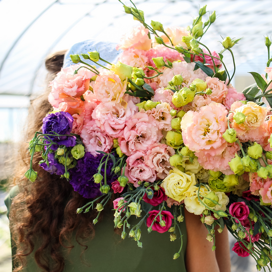 Lisianthus Bulk Box