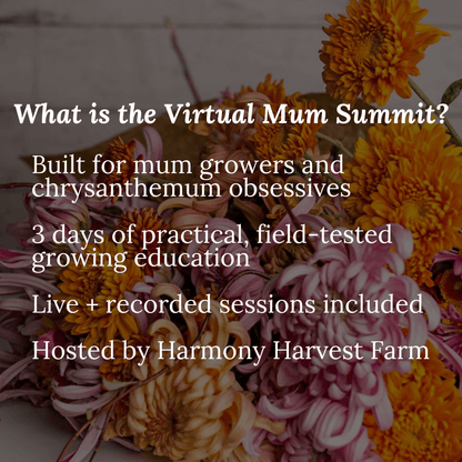 Virtual Mum Summit 2026